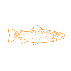 Animals Freshwater Fish Rainbow Trout Steelhead Trout Svg Vector Tracing Design, Free Vectors File